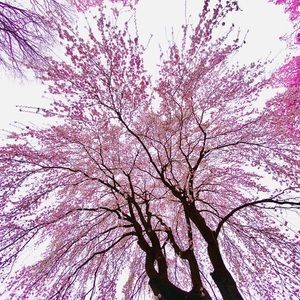 Meet your Posher, Eiko